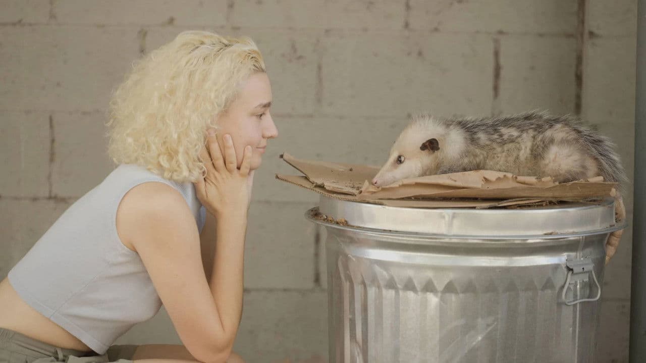 Beethoven's Great Great Great Great Great Grandchild