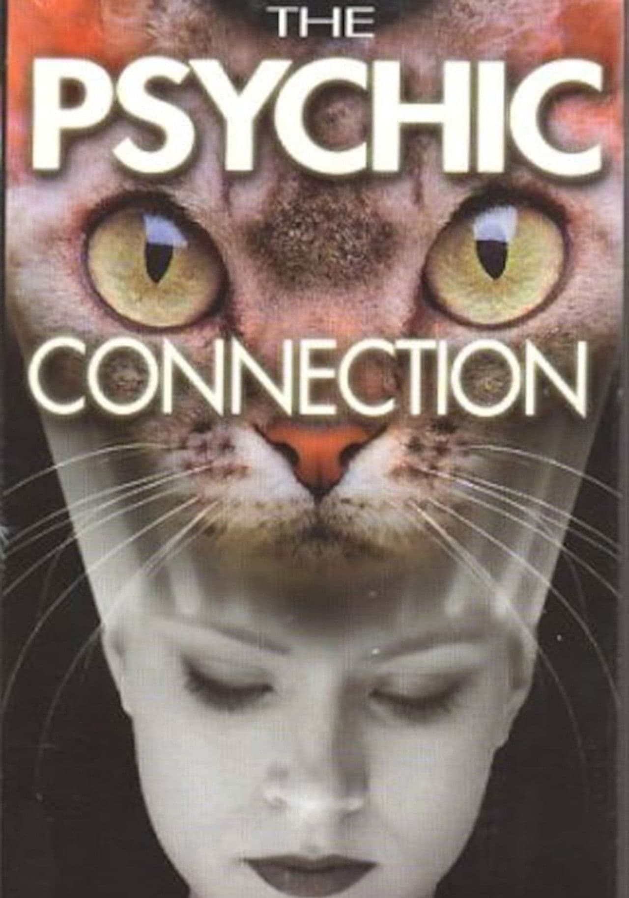 The Psychic Connection
