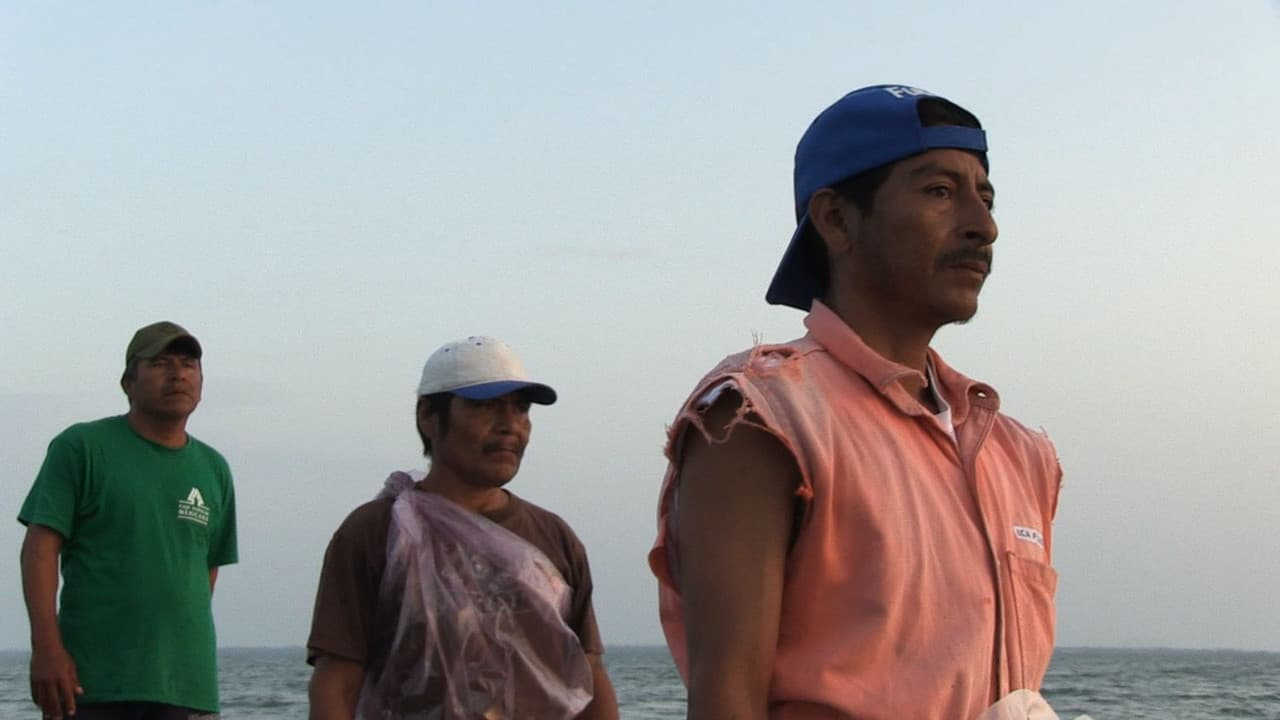 People Of Wind And Sea