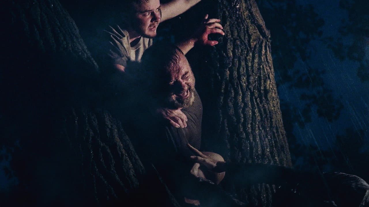 Storm Stories: The Next Chapter