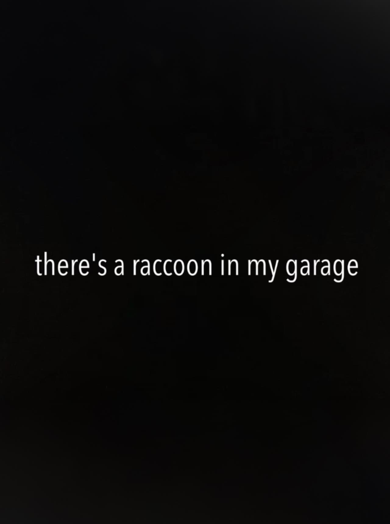 There's a Raccoon in My Garage