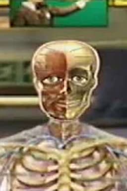 THE DAY OF THE SUBGENIUS