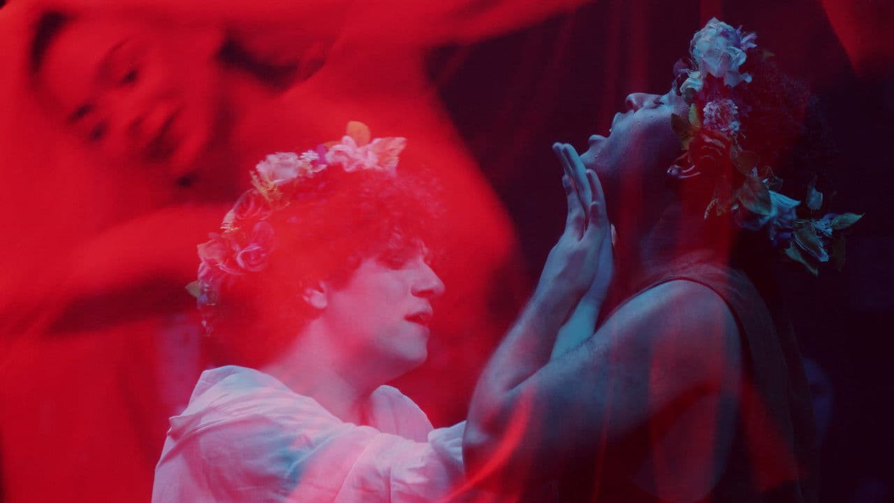 O Bosque dos Sonâmbulos no Teatro Viradalata