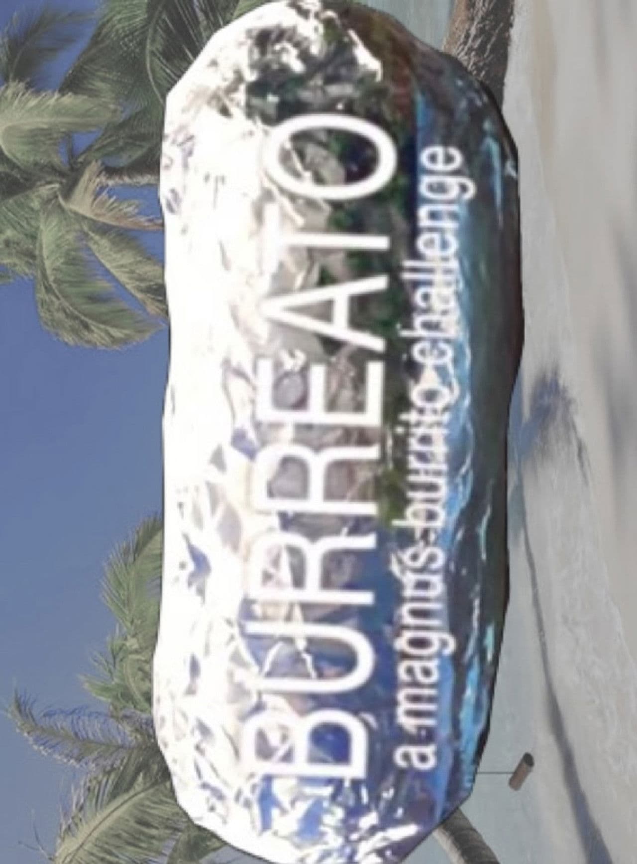 BURREATO: a magnus burrito challenge