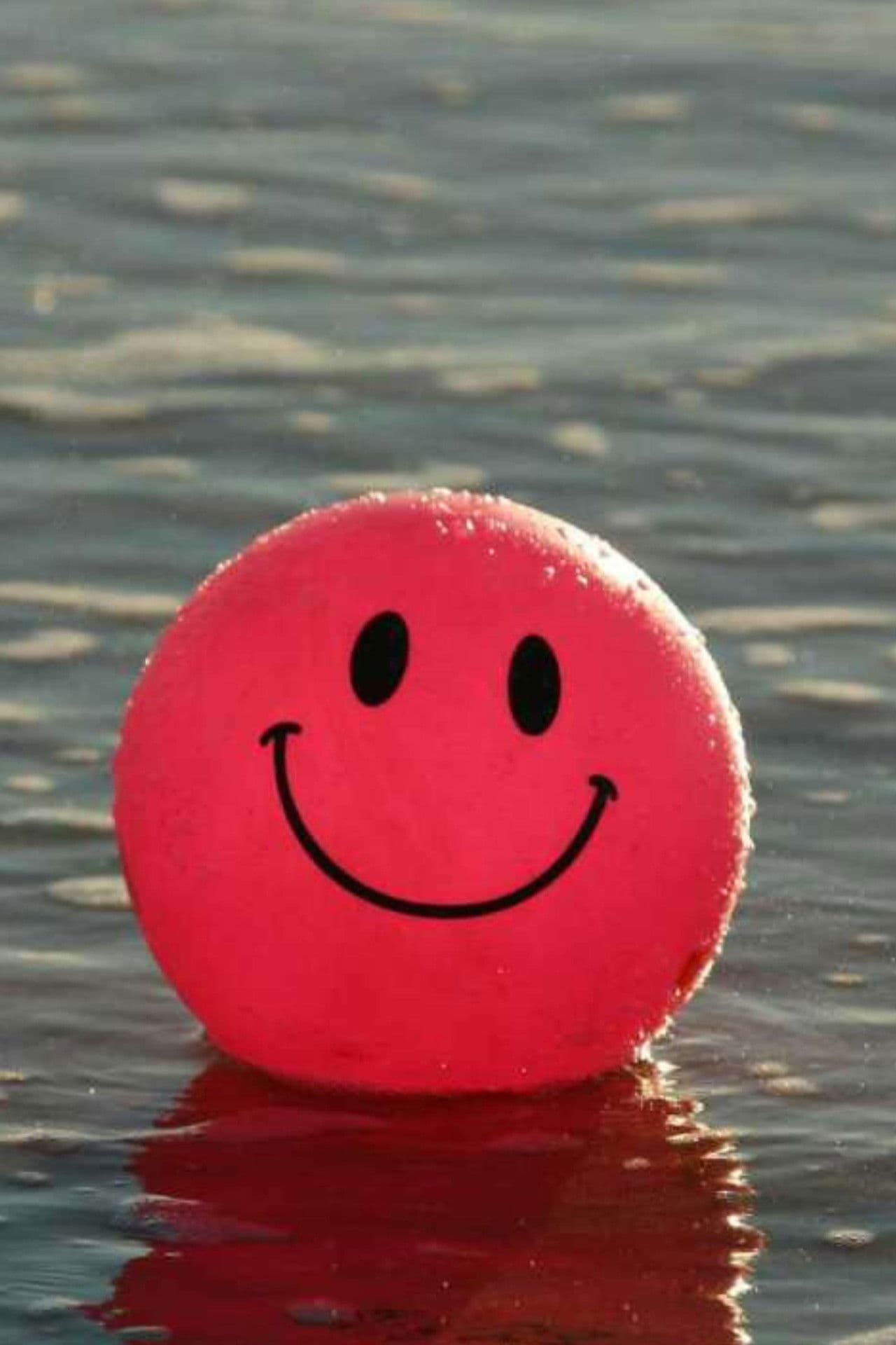 A Indústria da Felicidade