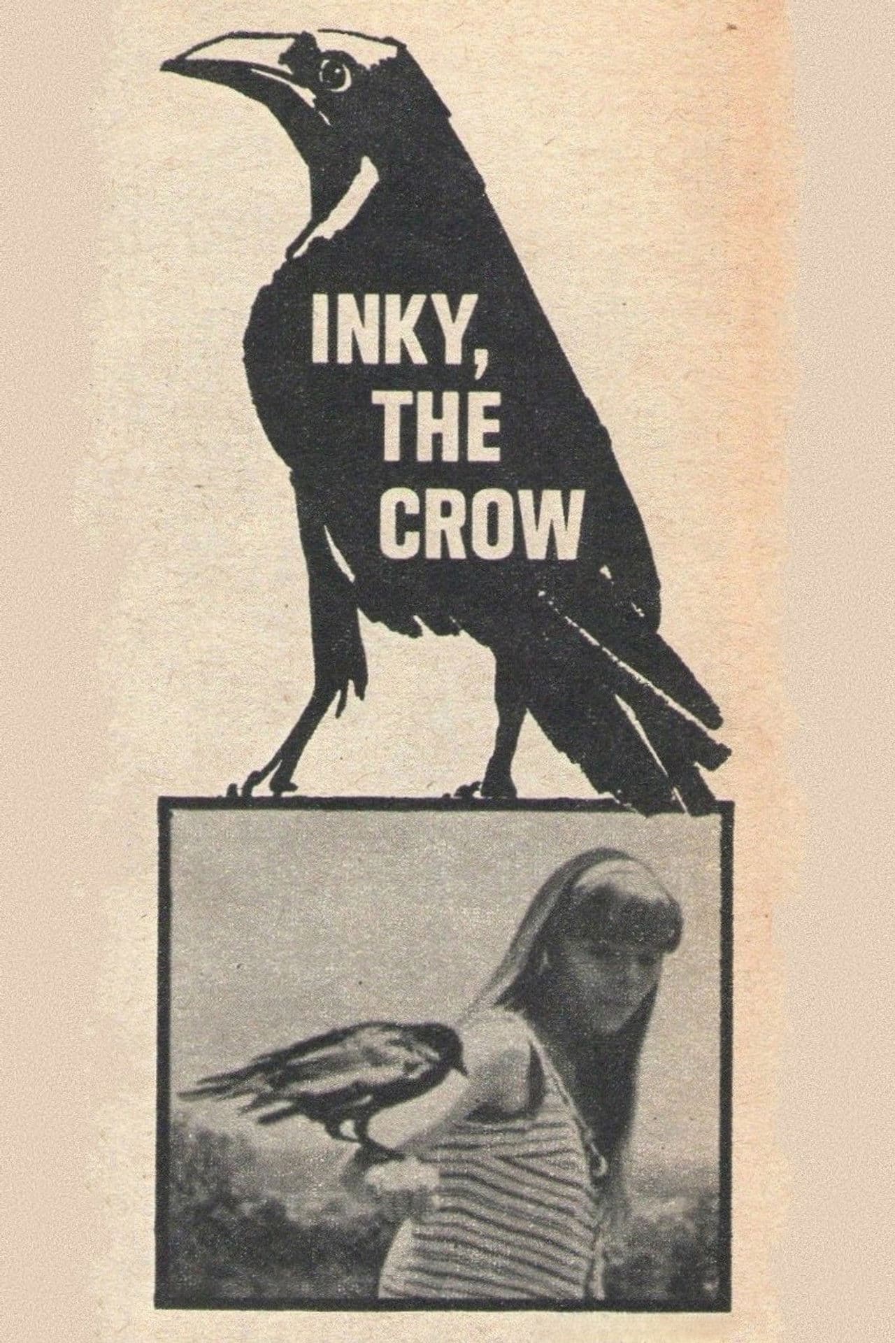 Inky, the Crow