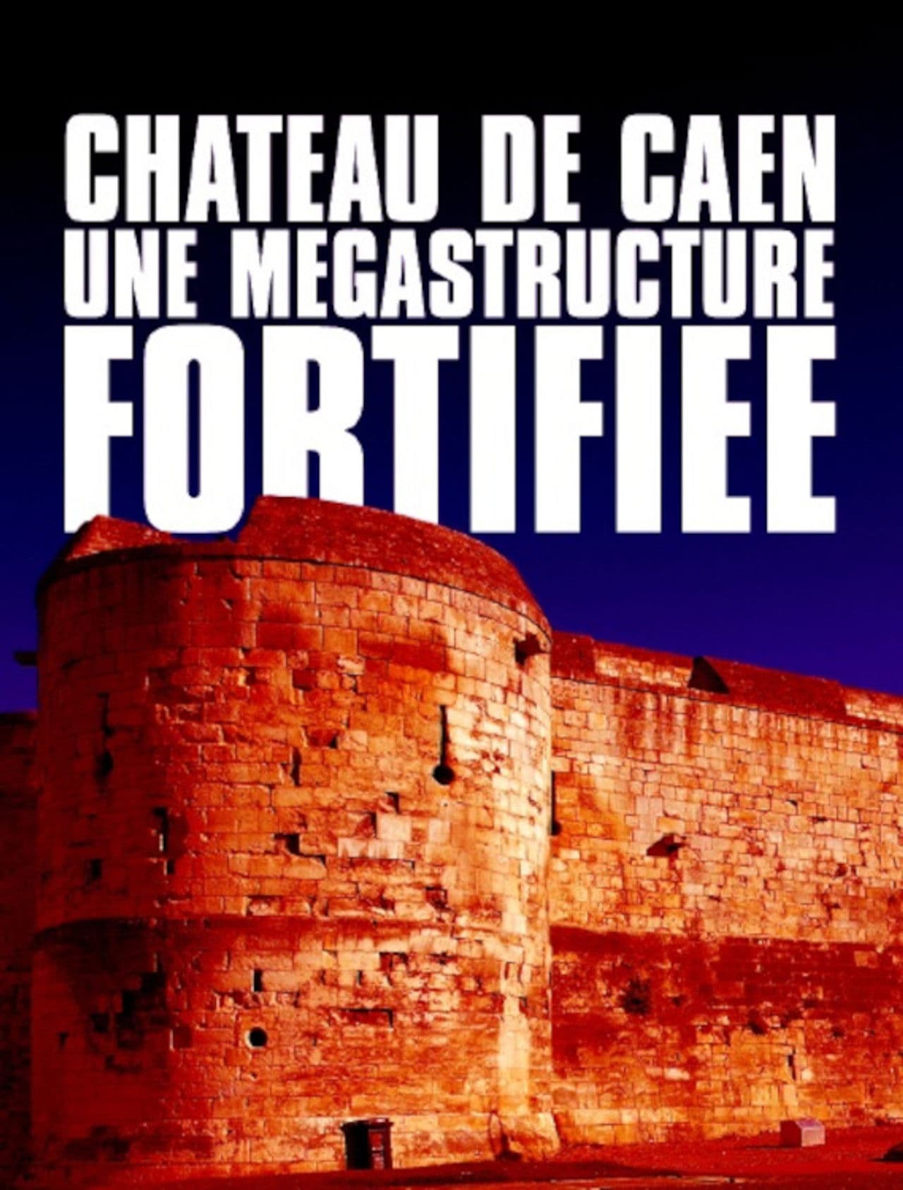 Château de Caen : Une mégastructure fortifiée