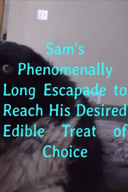 Sam's Phenomenally Long Escapade to Reach His Desired Edible Treat of Choice