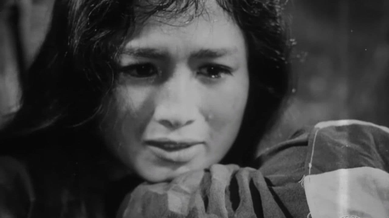 17th Parallel, Nights and Days