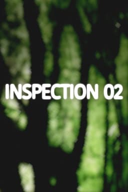 Inspection 02