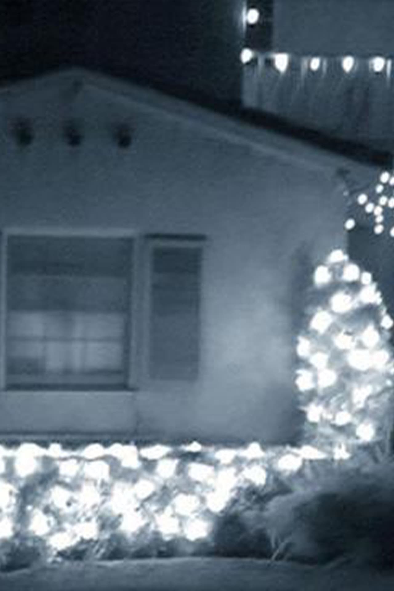 Poem B (The Guest House)