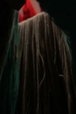 The Scarlet Phantoms