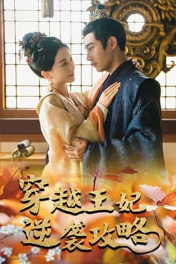 穿越王妃逆袭攻略