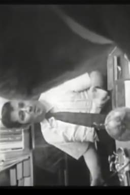 Who Shot Alexander Hamilton