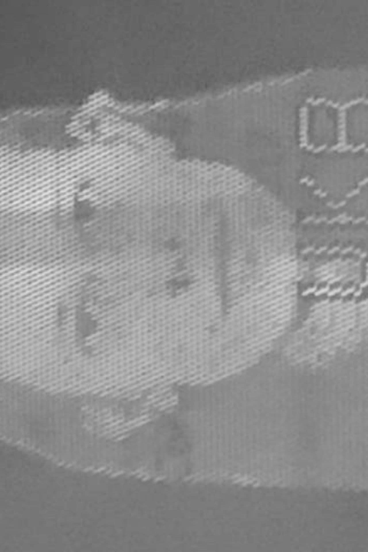 What Will You Do If the War Continues?