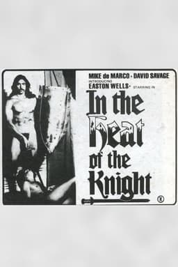 In The Heat of The Knight