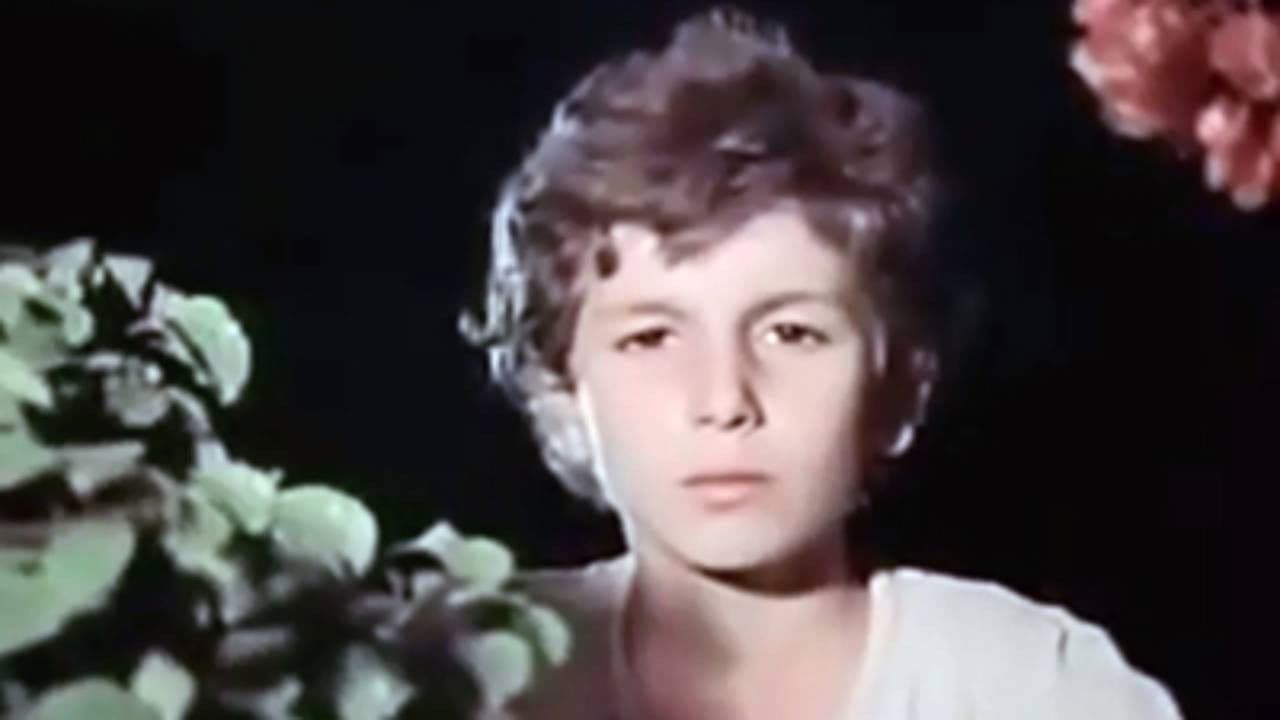 Road to Sasuntsi Davit