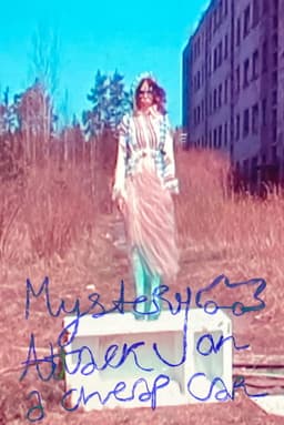 Mystery attack on a cheap car