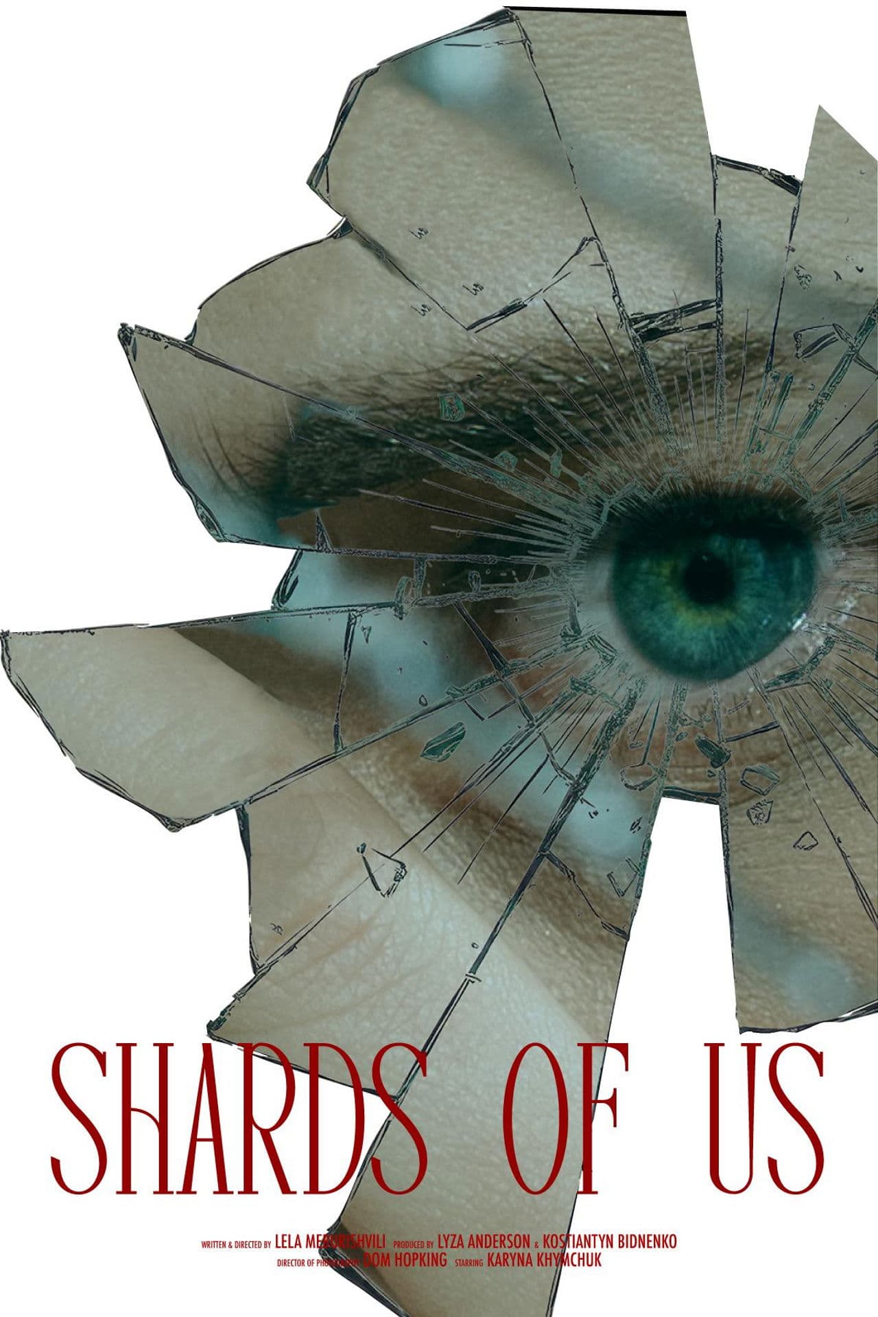 Shards of Us