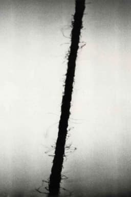 zzz: hamburg special