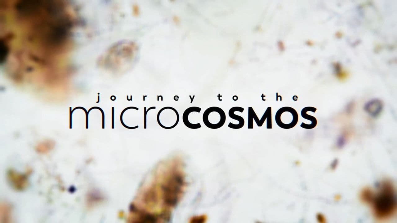 Journey to the Microcosmos