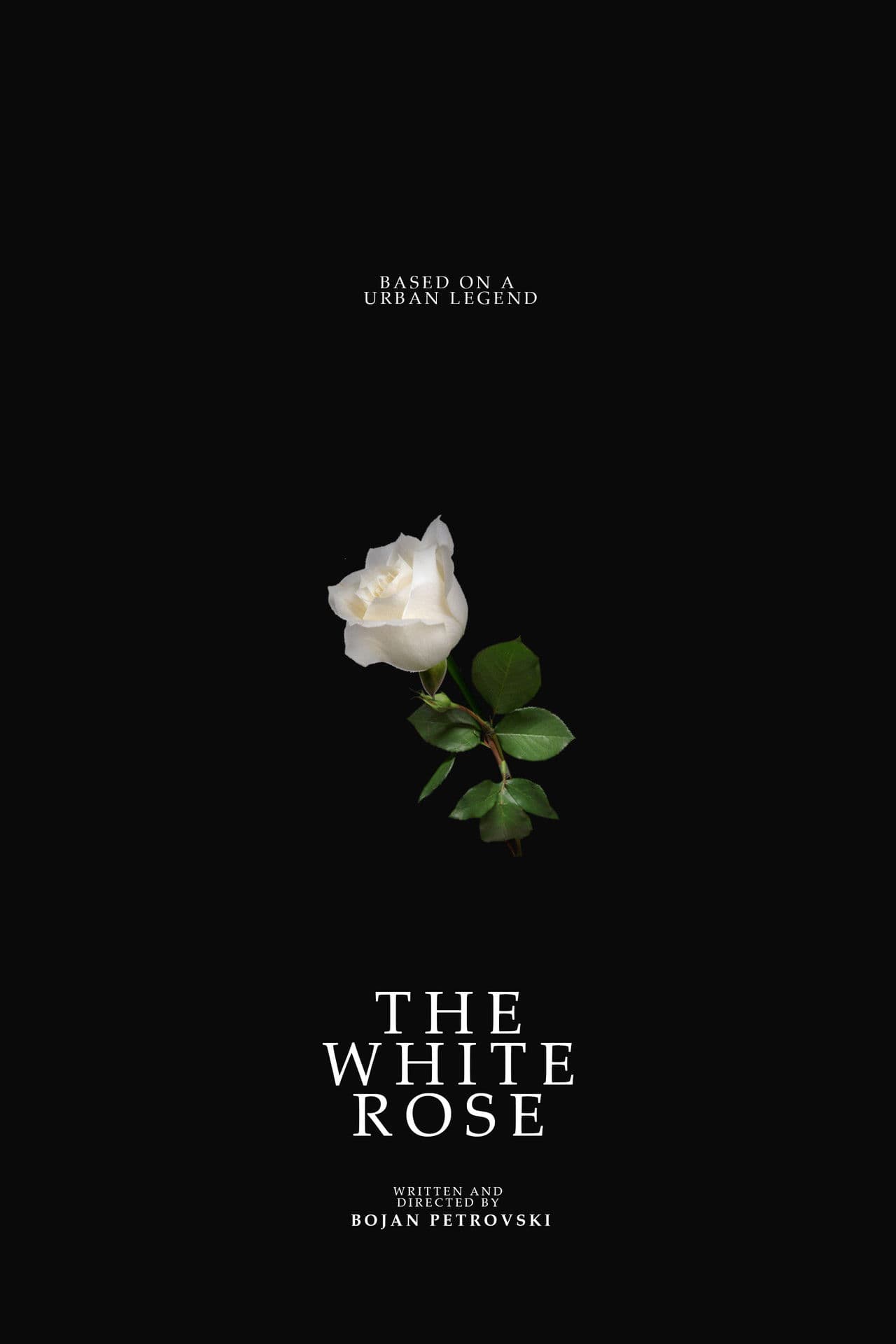 The White Rose