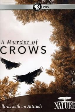 A Murder of Crows