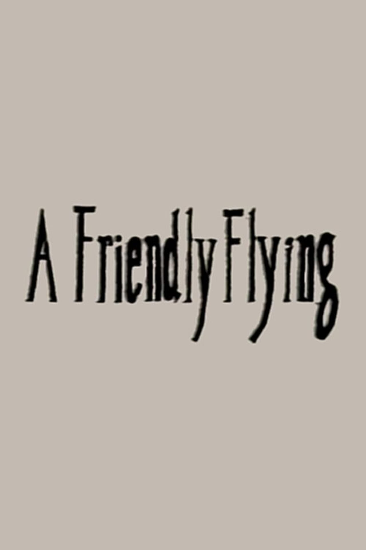 A Friendly Flying