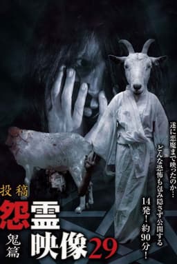 Posted Grudge Spirit Footage Vol.29: Demon Edition