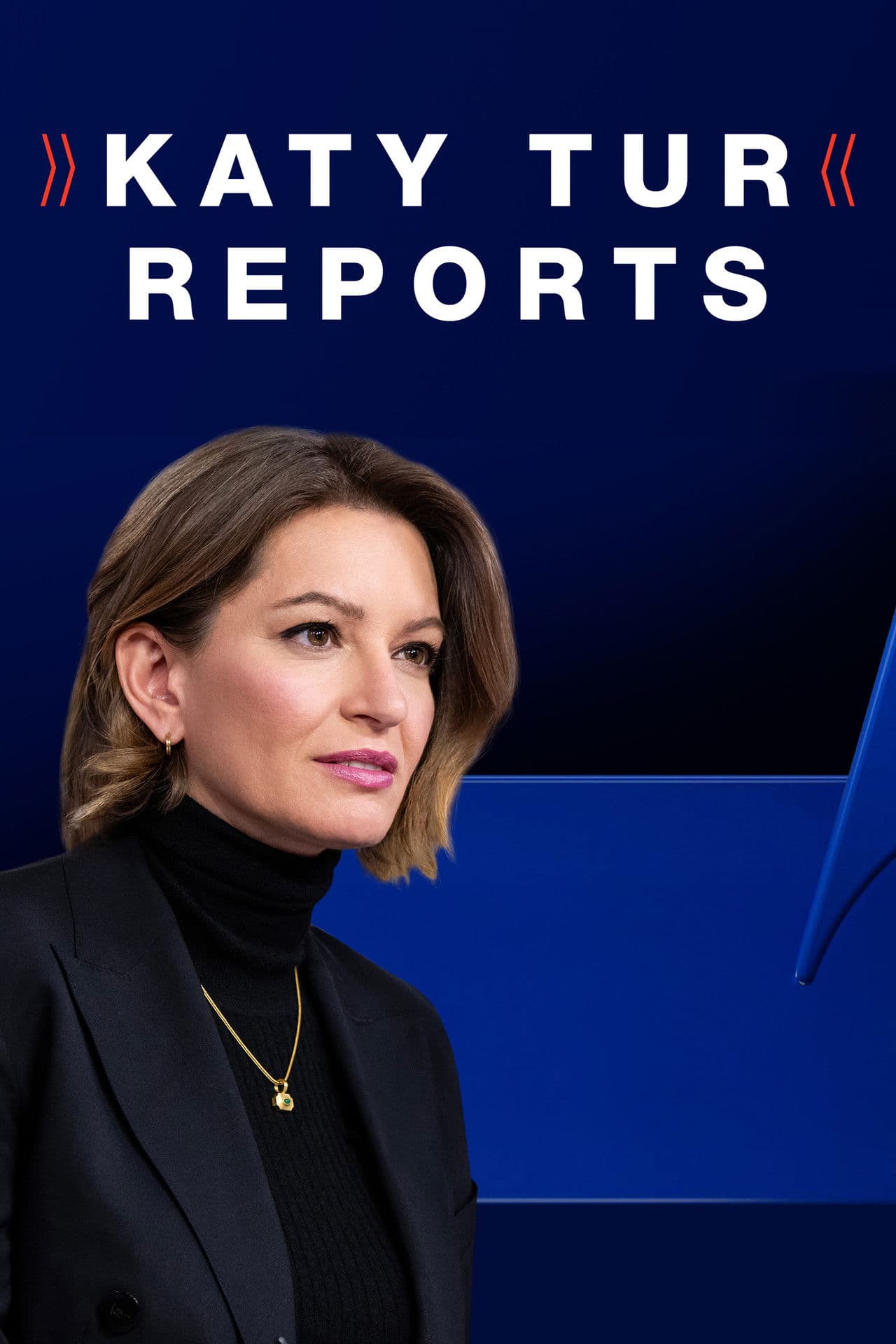 Katy Tur Reports