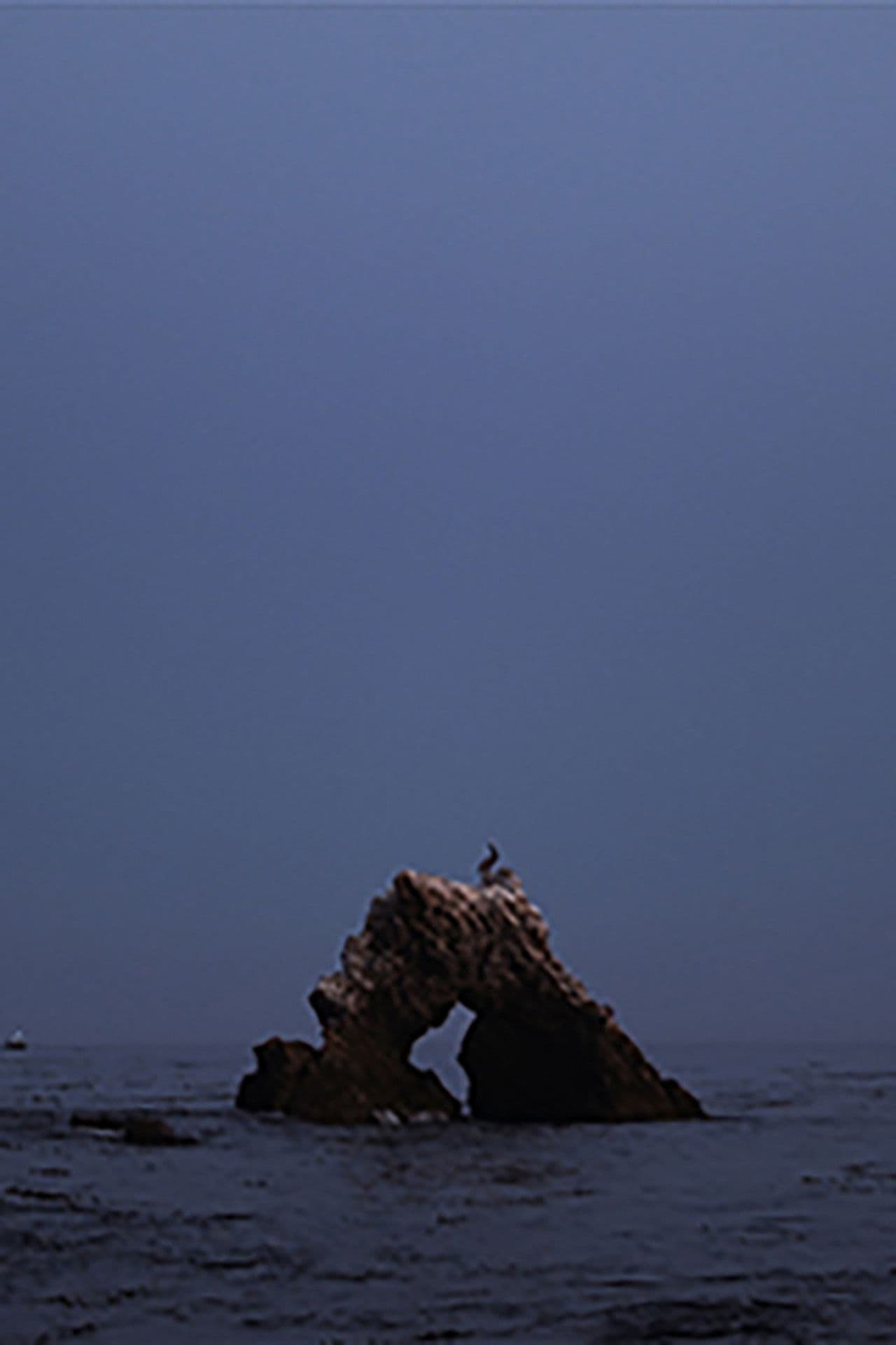 black widow summer set