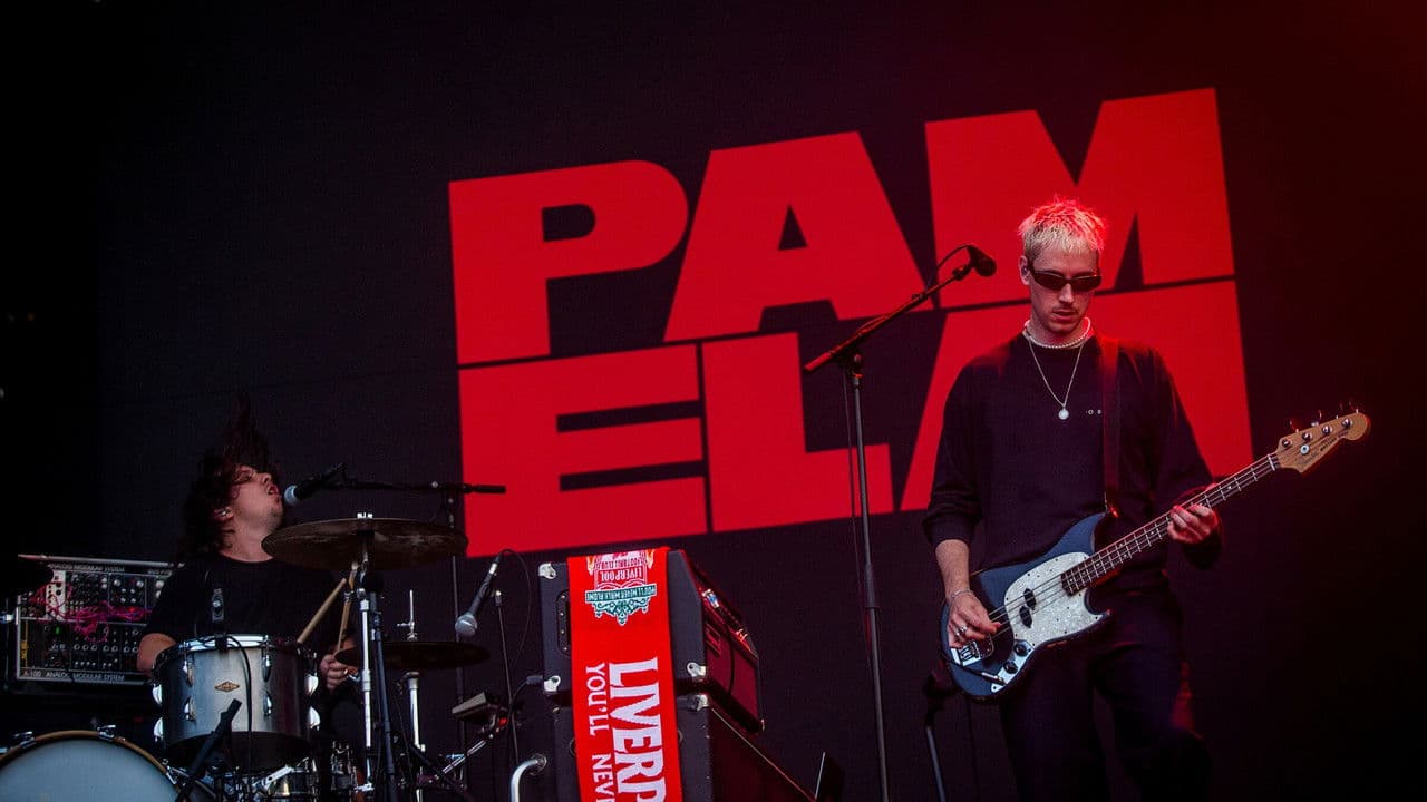Pamela en concert aux Vieilles Charrues 2025