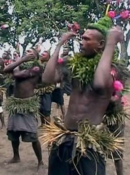 In the Wilderness of a Troubled Genre