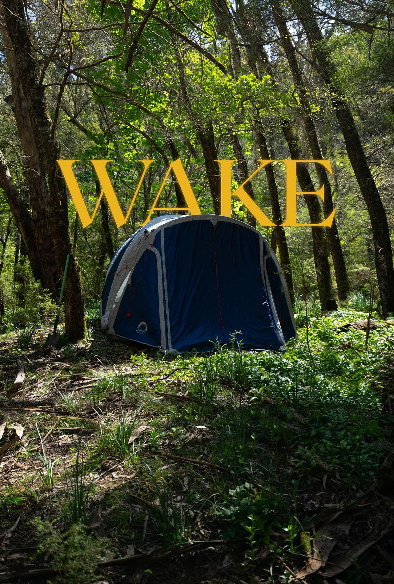 Wake