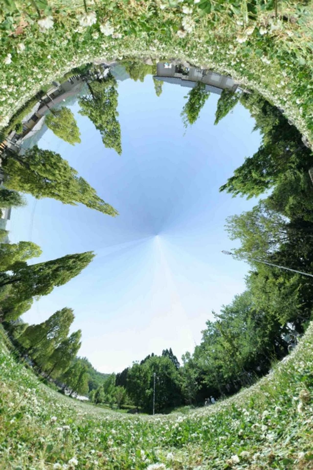 The Study of Another Vanishing Point