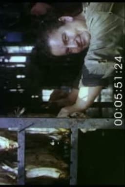 Landscape. Portrait. Still Life