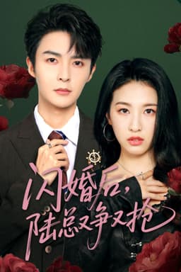 闪婚后陆总又争又抢