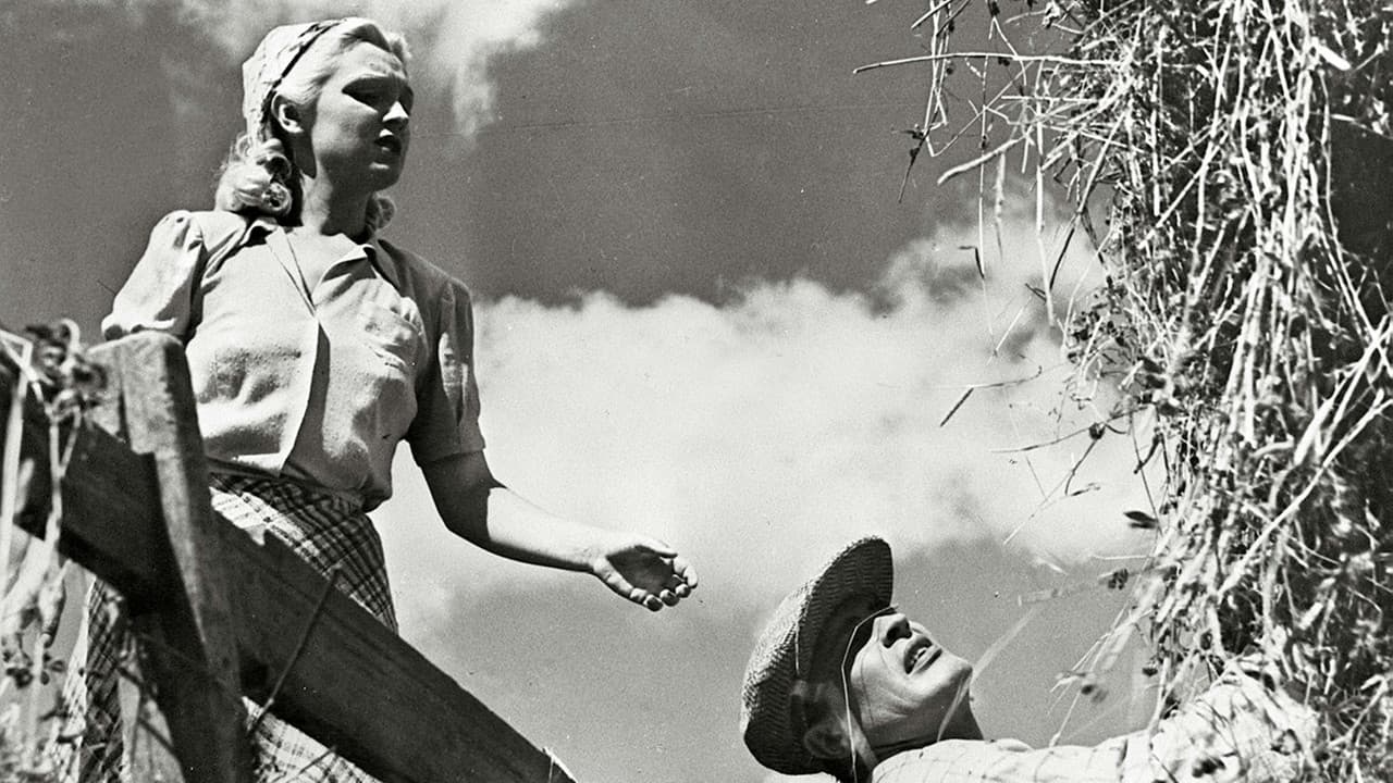 Oi, kallis Suomenmaa