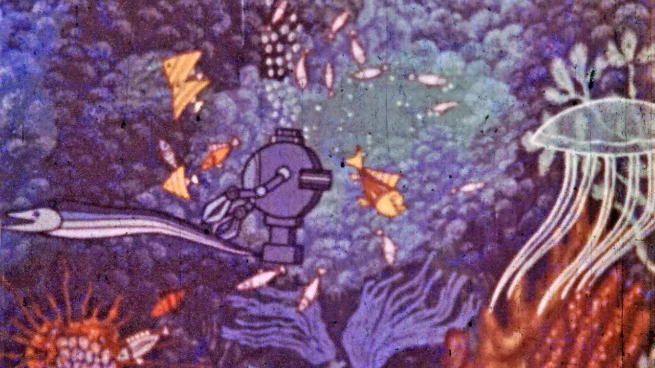 Handyman Under the Water