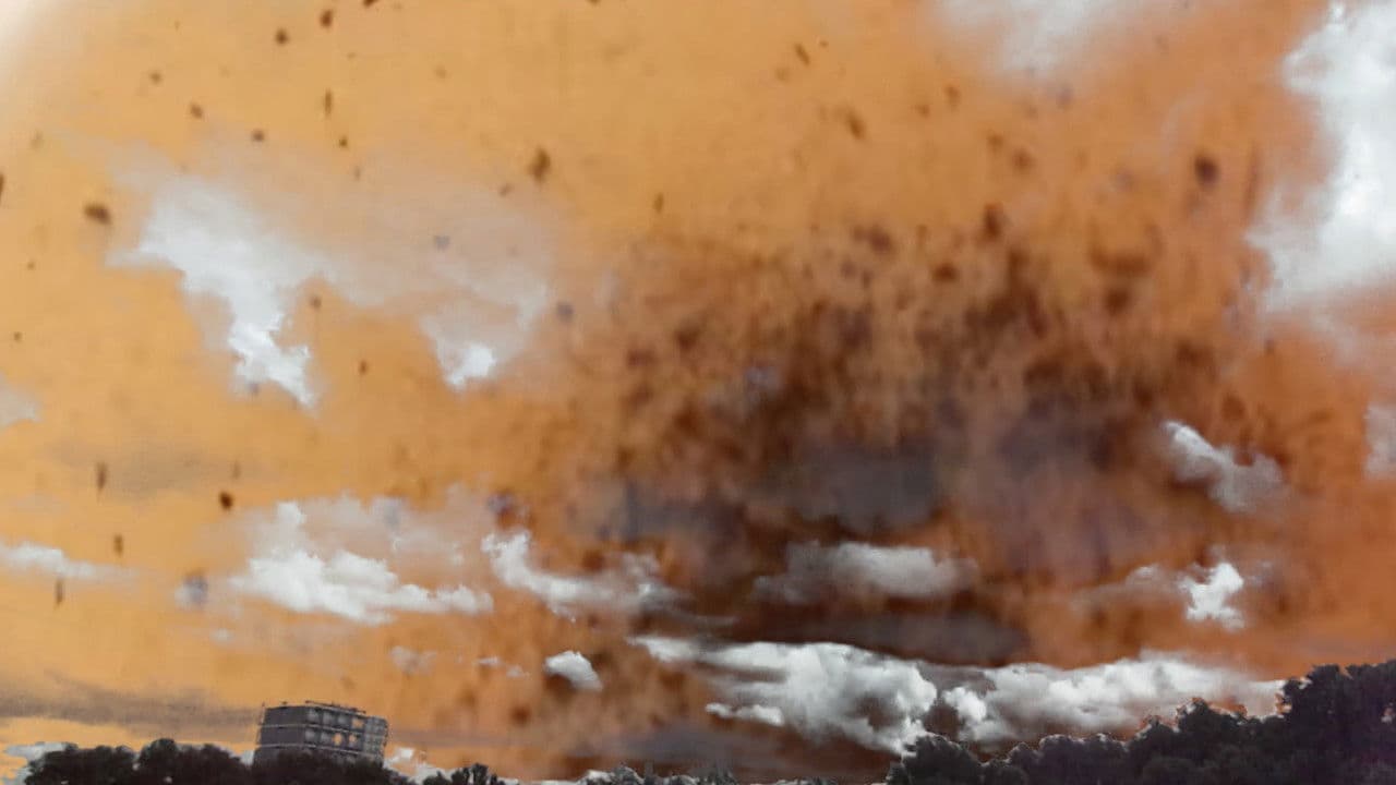 Nice Cup of Tea (A Journey of Memories Through Central London)