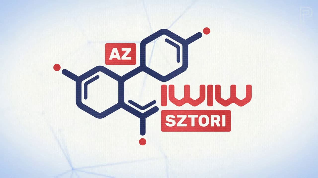 The Story of the IWIW