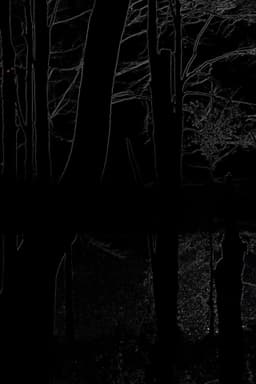 The Heart of the Wood