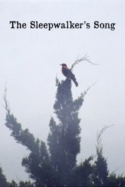 The Sleepwalker's Song