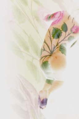 Port Saïd, Santa Cruz, Sarmad Kashani