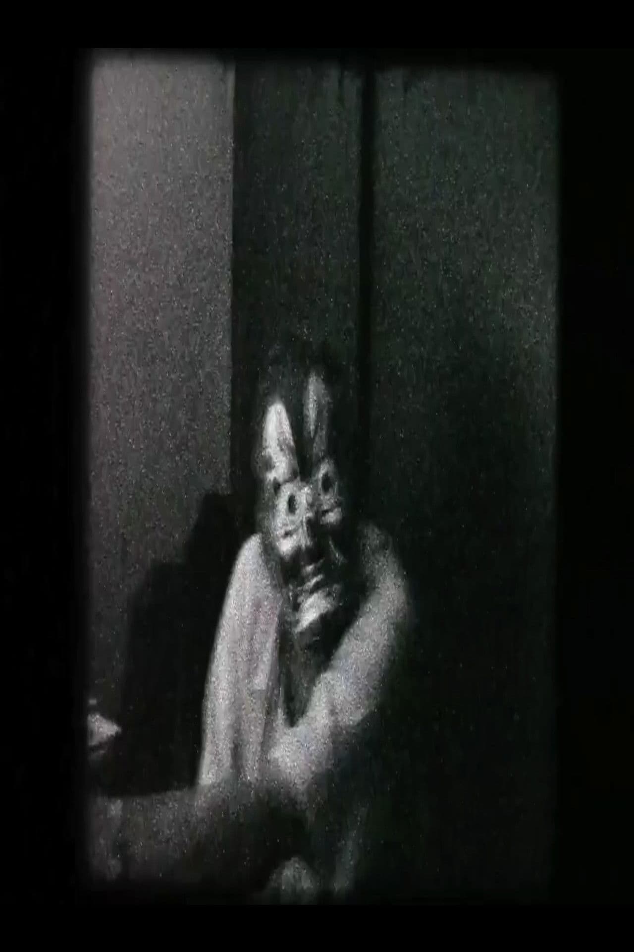 O cinema segundo Luiz Rô