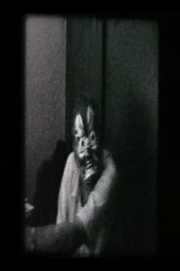 O cinema segundo Luiz Rô