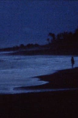 A conversation with the ocean