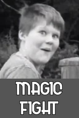 Magic Fight