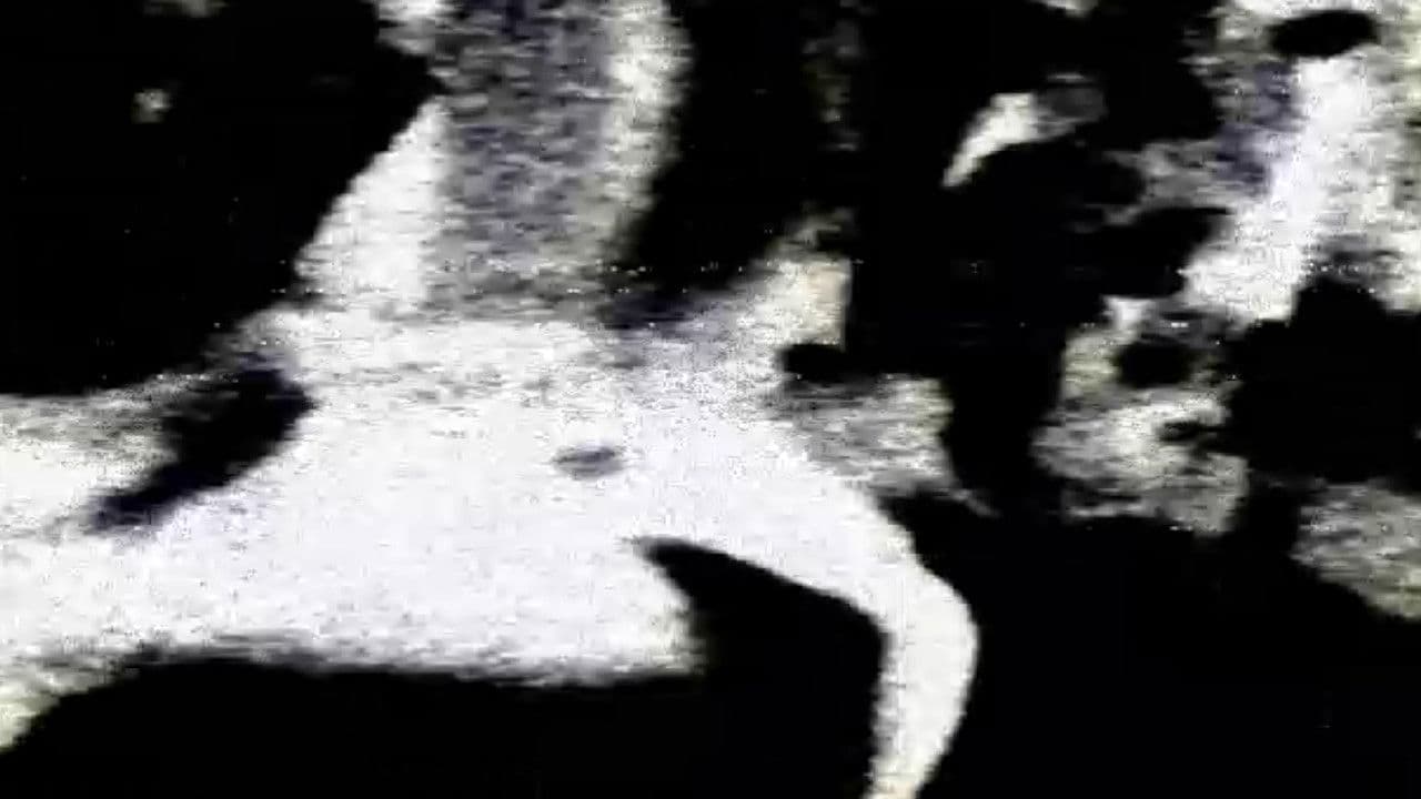 The Essence Of Creation, Lost To The Night