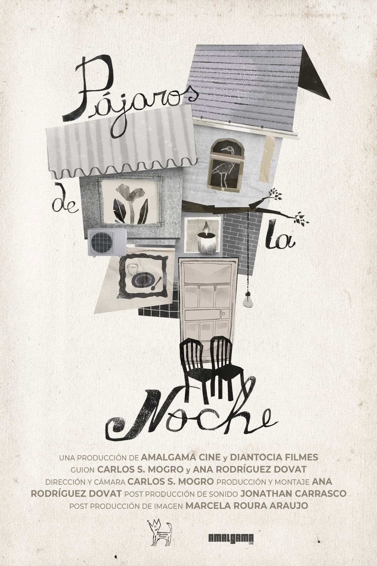 Pájaros de la noche